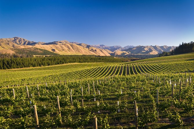 Half-Day Marlborough Wine Tour & Beer Tour - What the $129.70 price really covers