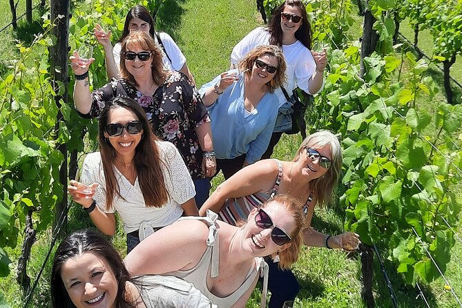 Half Day Martinborough Winery Tour from Wellington - Why Martinborough works as a half-day escape