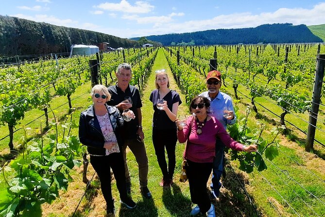 Half Day Martinborough Winery Tour from Wellington - The practical value of a small group