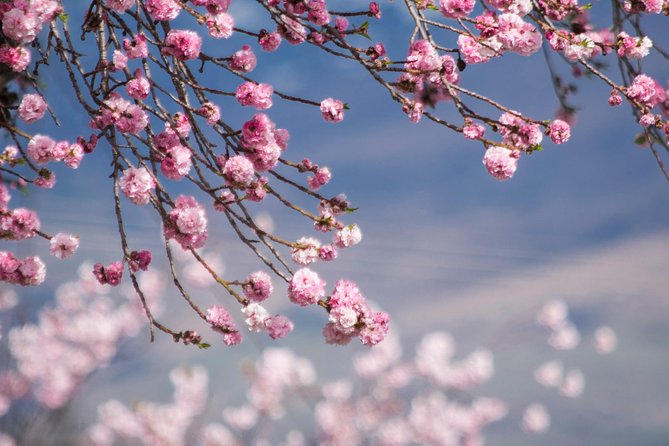 Half Day Queenstown & Beyond Private Scenic Photography Tour - What Martin teaches as you photograph