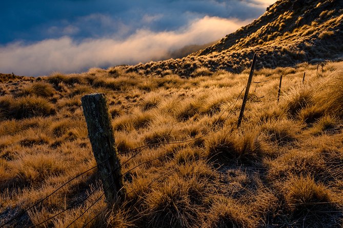 Half-Day Queenstown Photography Tour - Who Will Get the Most From This Tour?