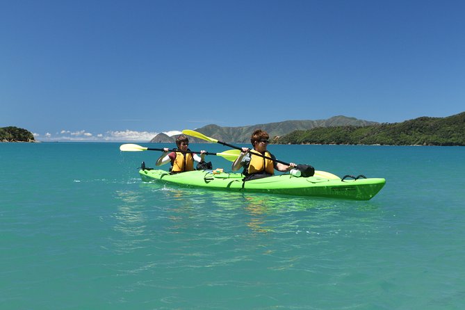 Half day Sea Kayak Guided Tour from Picton - What makes Marlborough Sounds special from a kayak