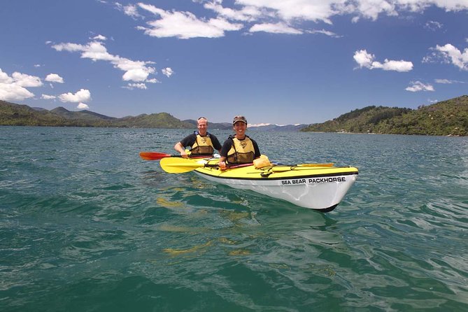Half day Sea Kayak Guided Tour from Picton - Guides who make the difference