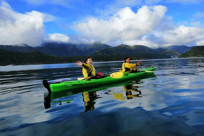 Half day Sea Kayak Guided Tour from Picton - Is $74.47 good value for four hours?