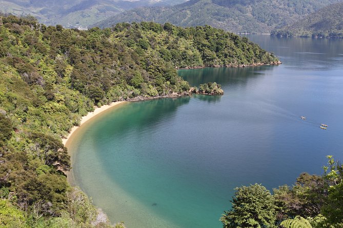 Half day Sea Kayak Guided Tour from Picton - Who should book this Picton kayak tour?