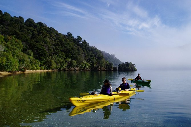 Half day Sea Kayak Guided Tour from Picton - Practical details before you book