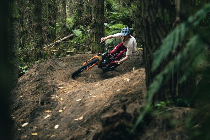 Half-Day Self-Guided Mountain Bike Journey through Whakarewarewa Redwood Forest - Riding beneath Rotorua’s redwoods