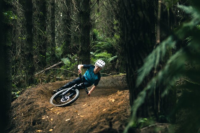 Half-Day Self-Guided Mountain Bike Journey through Whakarewarewa Redwood Forest - Who will enjoy this forest ride most?