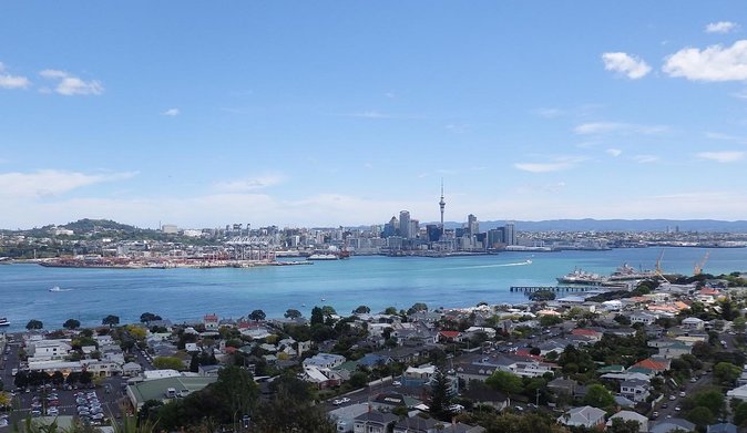 Half-Day: Small Group Auckland Scenic Tour - 4 HOURS - Key points to know before booking