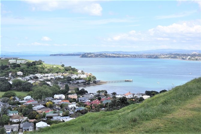 Half-Day: Small Group Auckland Scenic Tour - 4 HOURS - Achilles Point and the Hauraki Gulf