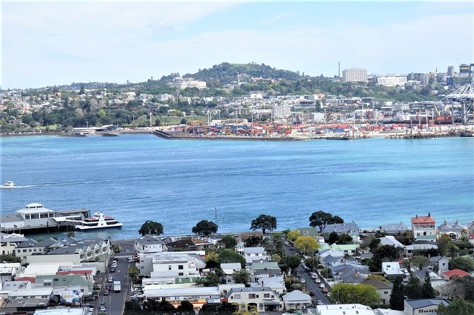 Half-Day: Small Group Auckland Scenic Tour - 4 HOURS - Remuera and Parnell: a look at old Auckland