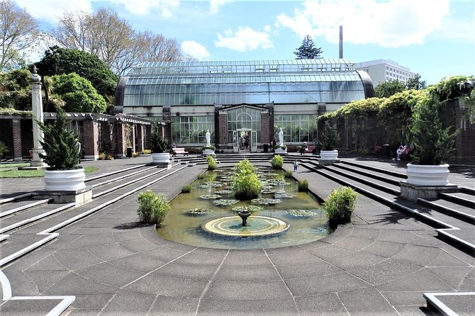 Half-Day: Small Group Auckland Scenic Tour - 4 HOURS - What the guides add to the experience