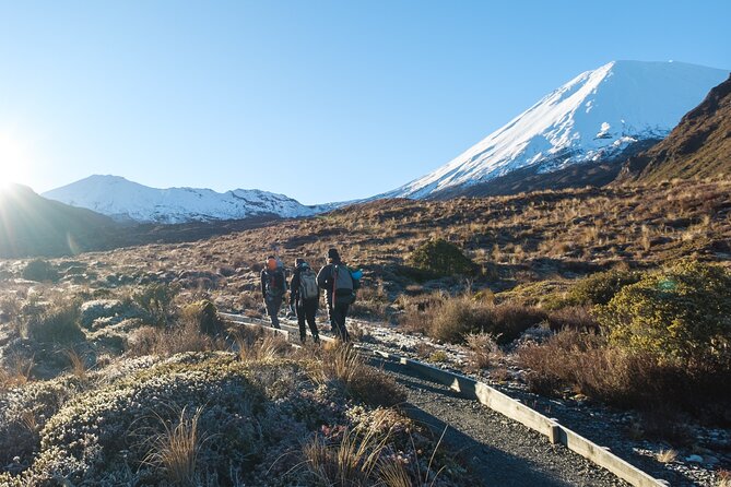Half Day Tongariro Alpine Guided Group Walk - Gear, safety, and the guide team