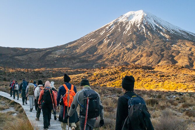 Half Day Tongariro Alpine Guided Group Walk - Starting at Adrift Tongariro in National Park Village