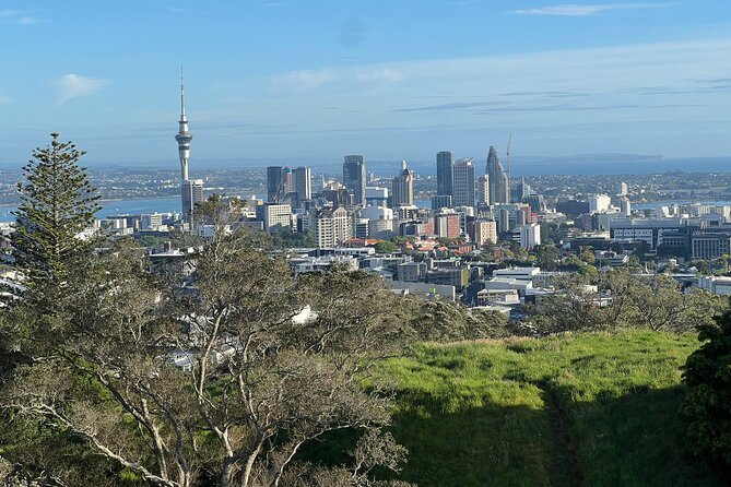 Half-Day Tour: AUCKLAND CITY Highlights with Hotel Pickup - Key points at a glance