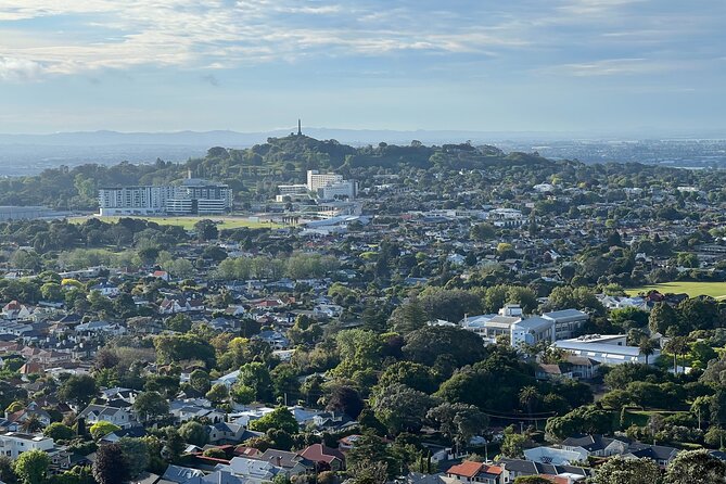 Half-Day Tour: AUCKLAND CITY Highlights with Hotel Pickup - A fast introduction to Auckland’s shape