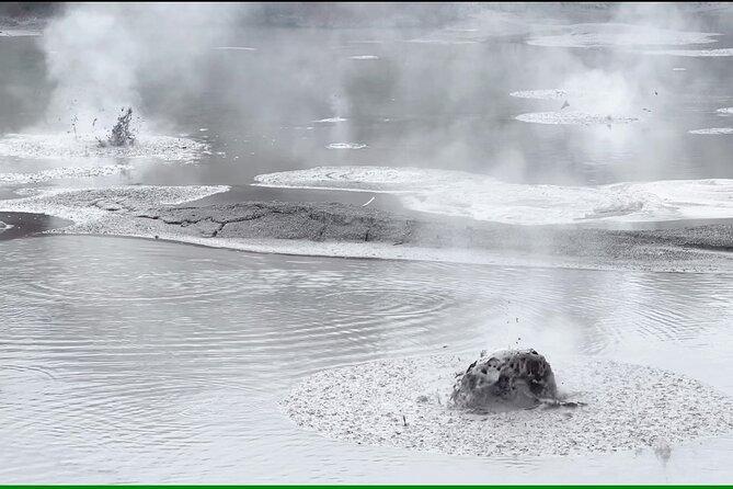 Half-Day Tour - Ex Rotorua: WAI-O-TAPU Thermal Wonderland - Why the schedule works, and where it feels rushed