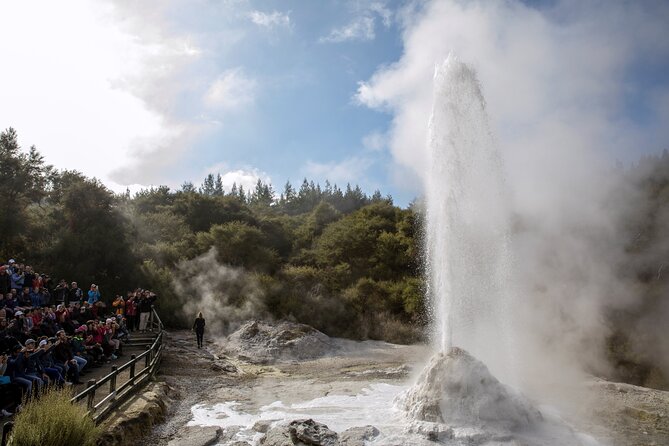 Half-Day Tour - Ex Rotorua: WAI-O-TAPU Thermal Wonderland - Is $104.88 a fair price?