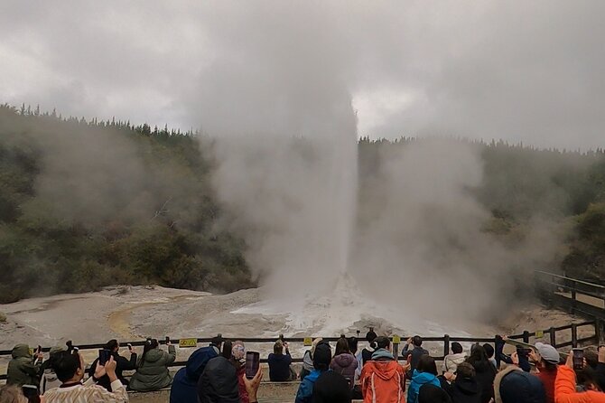 Half-Day Tour - Ex Rotorua: WAI-O-TAPU Thermal Wonderland - Who should book this half-day outing?