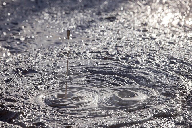 Half-Day Tour - Ex Rotorua: WAI-O-TAPU Thermal Wonderland - Lady Knox Geyser at exactly 10:15am