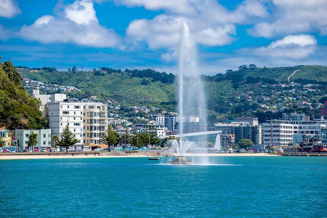 Half Day Tour of Wellington - Key points to know before booking