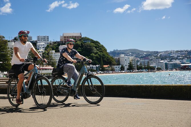Half Day Tour of Wellington - Riding the Wellington Cable Car to Kelburn