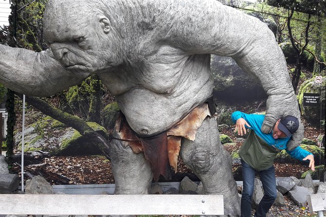 Half Day Tour of Wellington - Gardens, fountains, and a piece of wartime history