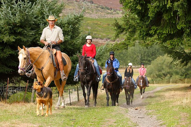 Half Day Walter Peak Horse Trek and Cruise from Queenstown - Safety and comfort deserve attention