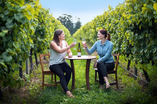 Half-Day Wine Tour from Picton - Key points at a glance
