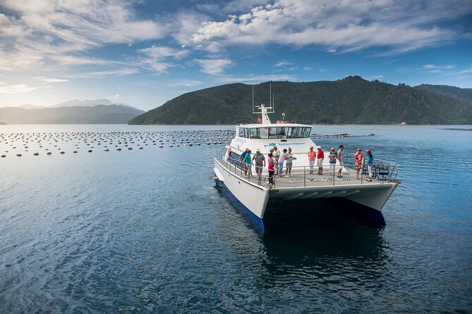 Half-Day Wine Tour from Picton - Is $114.81 good value?
