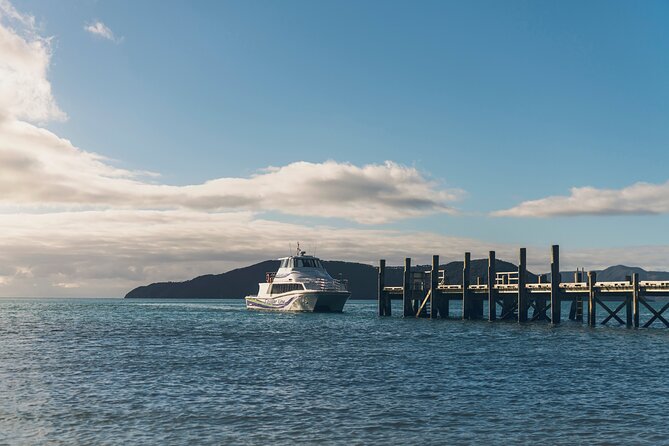 Half-Day Wine Tour from Picton - Who will enjoy this afternoon most?