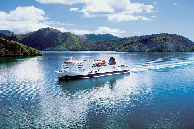Half-Day Wine Tour from Picton - Practical details before booking