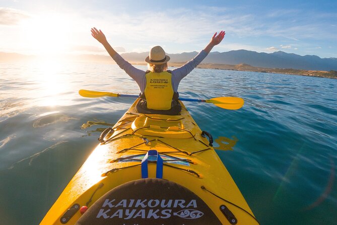 Half Day Zipline Adventure in Kaikoura - Is $123.49 a fair price?