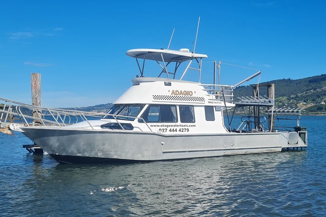 Harbour, Albatross and Wildlife Cruise on Otago Harbour - Why Otago Harbour is worth seeing from a small boat