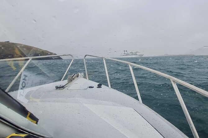 Harbour, Albatross and Wildlife Cruise on Otago Harbour - What Rob and Holly add to the trip