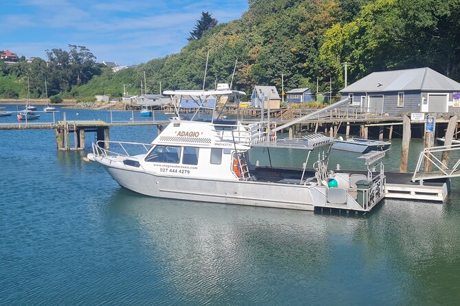 Harbour, Albatross and Wildlife Cruise on Otago Harbour - Timing changes and the small-business reality