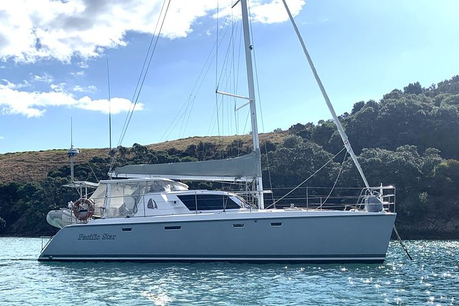 Hauraki Gulf Eco Sailing Adventure - A small catamaran makes the day personal