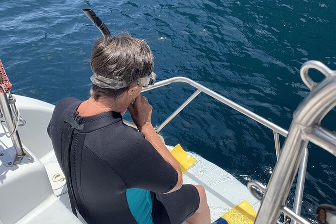 Hauraki Gulf Eco Sailing Adventure - The pest-free island walk