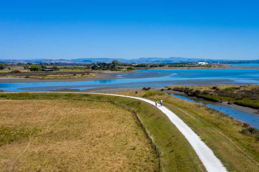 Hawke's Bay: Self Guided Coast to Vineyards Cycle Tour - Choosing the right winery stop