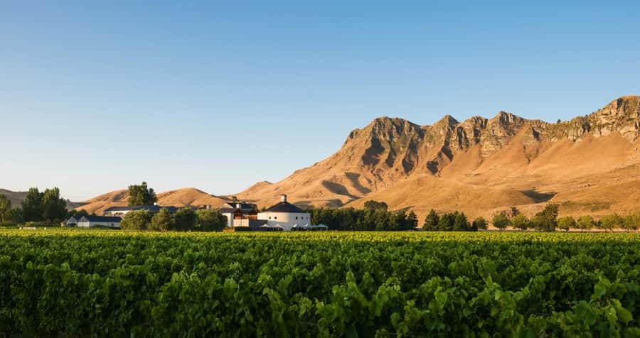 Hawke's Bay: Self Guided Coast to Vineyards Cycle Tour - Practical planning for a smoother day