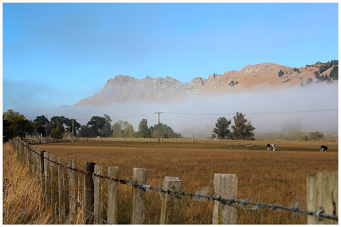 Hawkes Bay - Scenic, luncheon, wine Tour - Arataki Honey and a taste of Manuka