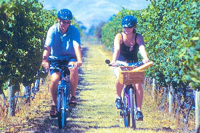 Hawkes Bay Wineries Self-Guided Bike Tour - Why this bike tour fits Hawke’s Bay so well