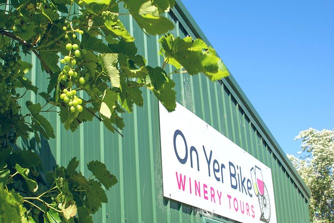 Hawkes Bay Wineries Self-Guided Bike Tour - Who should book this Hawke’s Bay ride