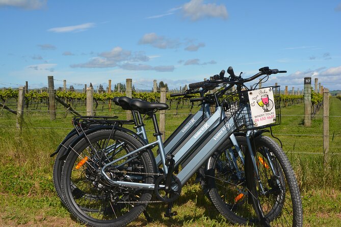 Hawkes Bay Wineries Self-Guided Electric Bike Tour - Key points for planning your ride