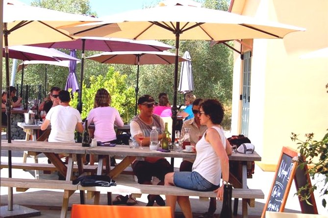 Hawkes Bay Wineries Self-Guided Electric Bike Tour - Who will enjoy this Hawke’s Bay bike tour