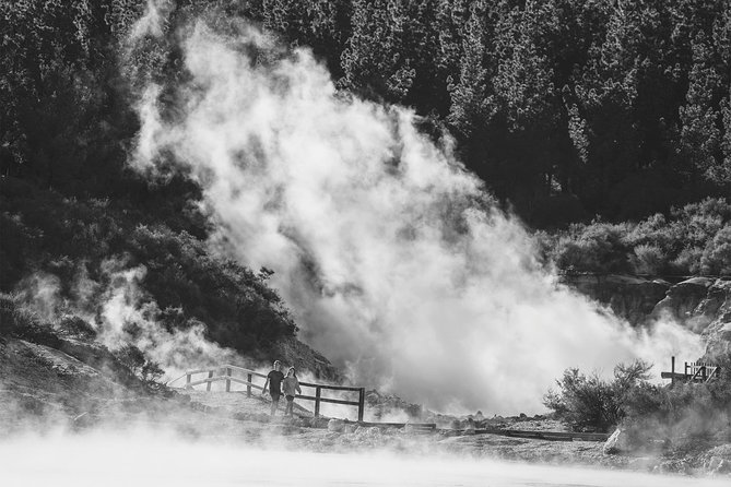 Hell's Gate Geothermal Walk - What Hell’s Gate shows you about Rotorua’s living earth