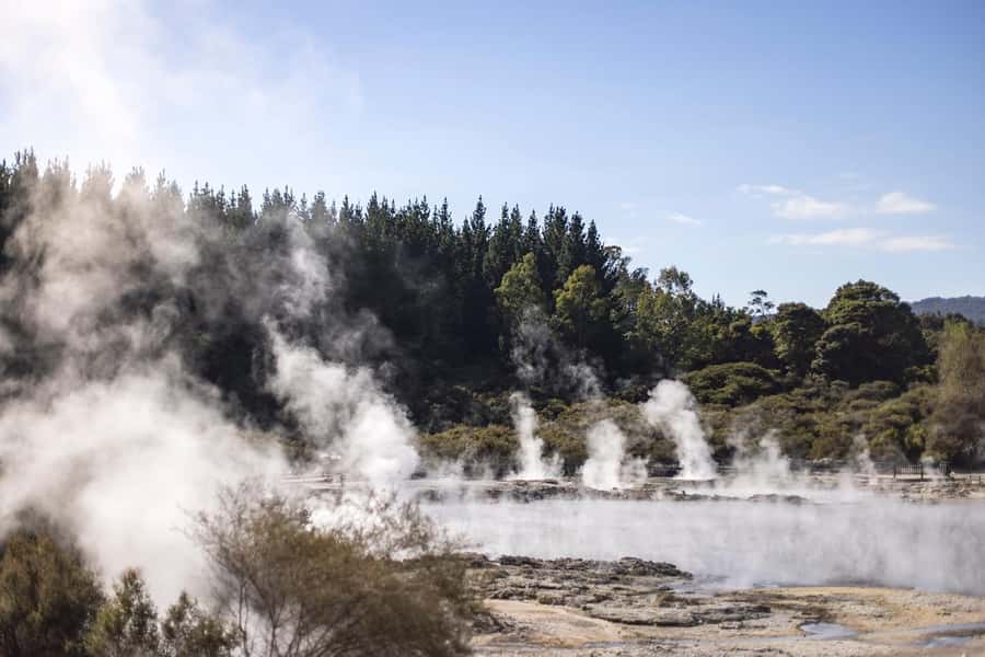 HELL'S GATE Mud Spa, Rotorua - Group Day Tour Ex Auckland - Why Hell’s Gate makes a long Auckland day worthwhile