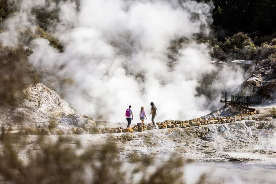 HELL'S GATE Mud Spa, Rotorua - Group Day Tour Ex Auckland - Rotorua by road after the reserve