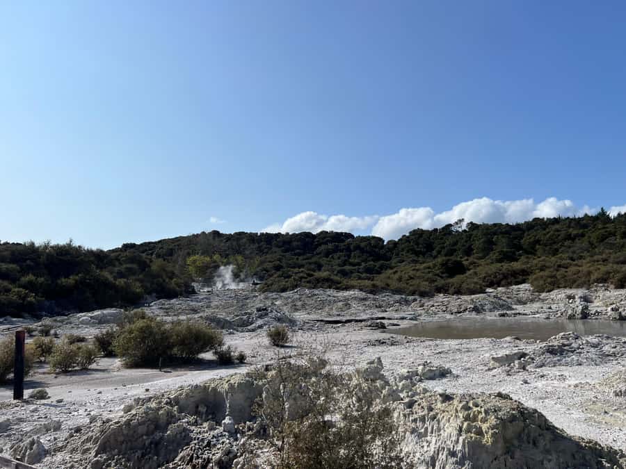 HELL'S GATE Mud Spa, Rotorua - Group Day Tour Ex Auckland - The Waikato River stop on the return