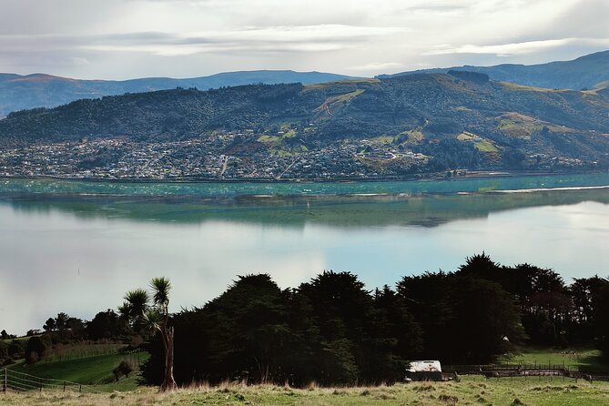 Heritage City and Larnach Castle Van tour with Historian Guide - Baldwin Street and Dunedin’s famous slope